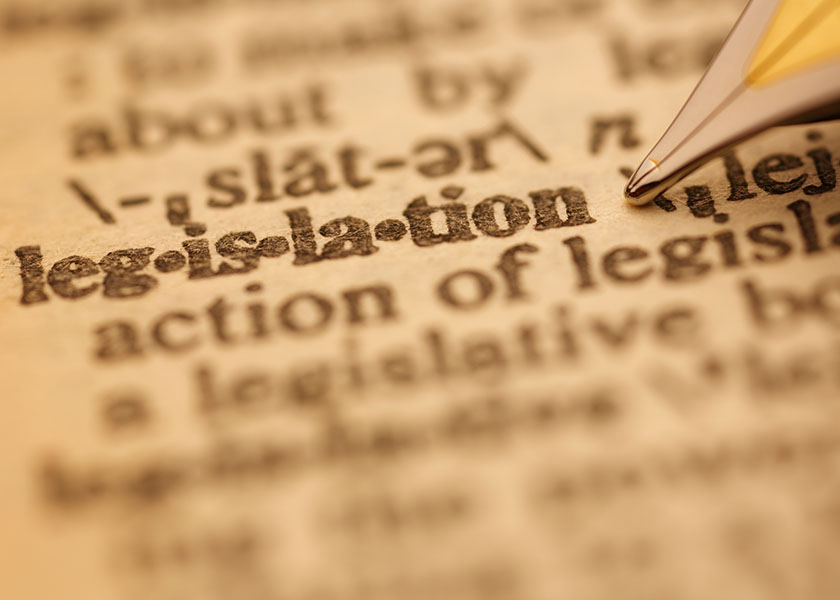 Legislation dictionary definition